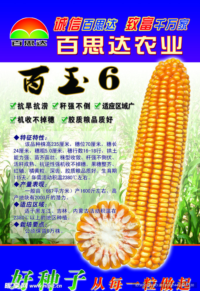玉米种子海报