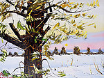 傲雪 油画
