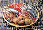 海鲜大全