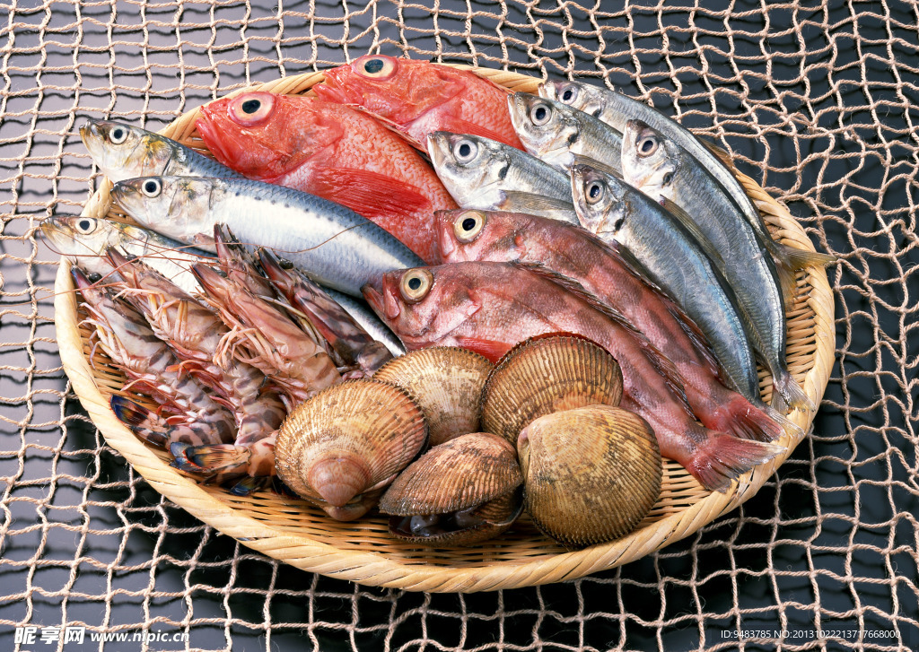 海鲜大全