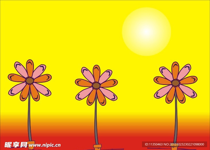 太阳花