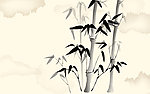 竹韵