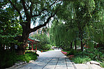 北京菖蒲河公园