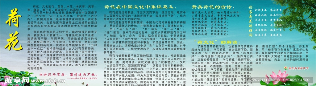 荷花