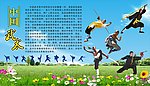 中国武术