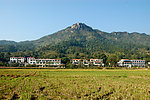 田园风光