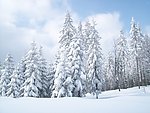 雪景