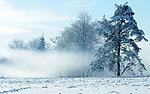 雪景