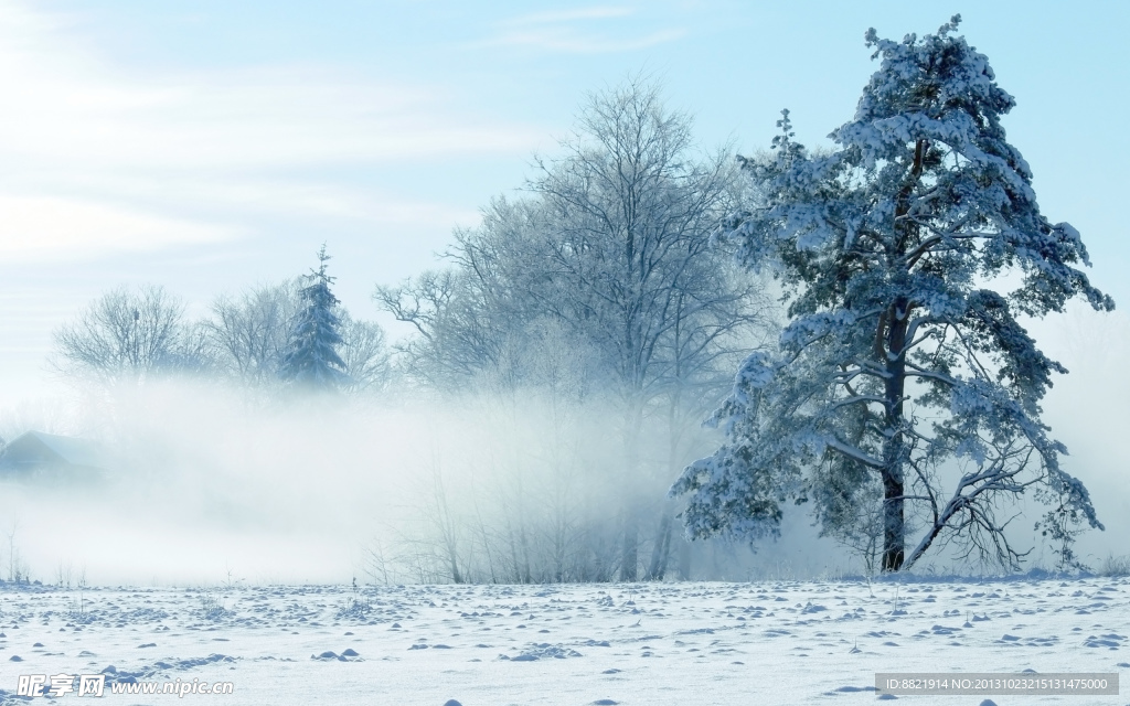雪景