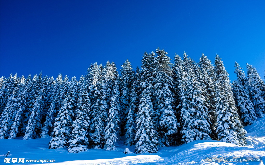 雪景