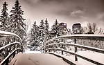 雪景
