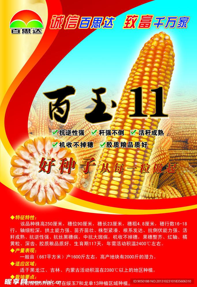 玉米海报