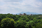 村庄风景