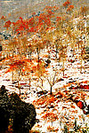 泰山醉人雪景