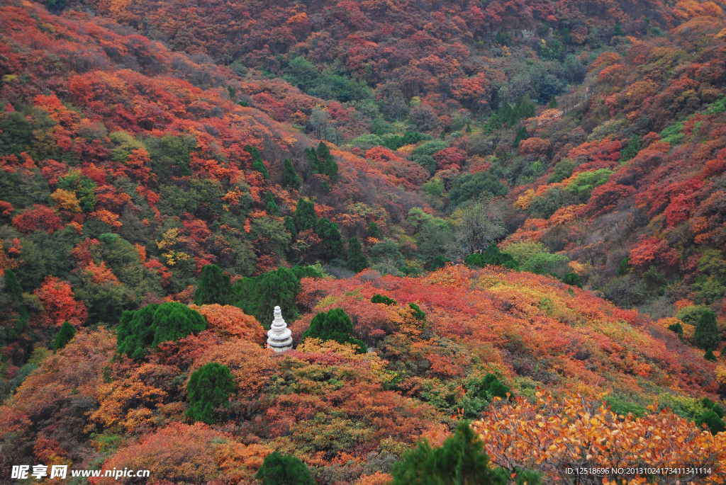 山景