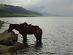 伊犁 湖水