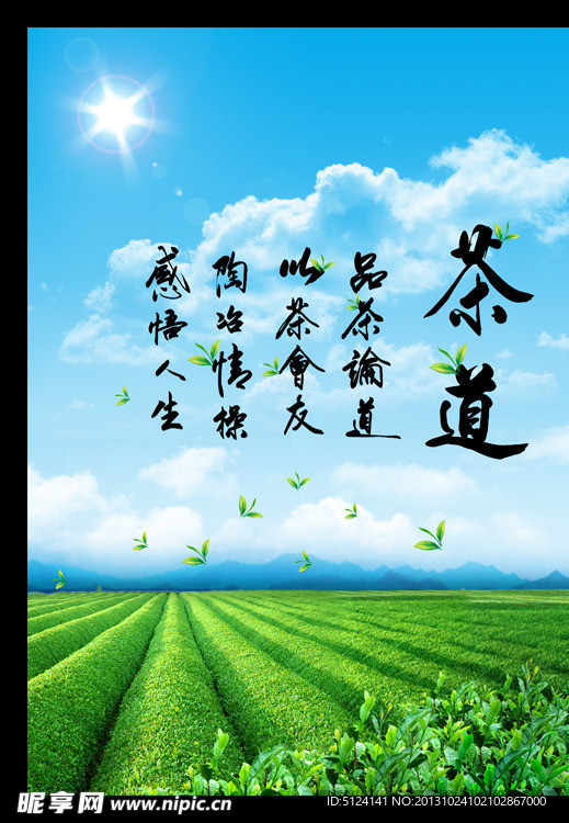 茶叶风景