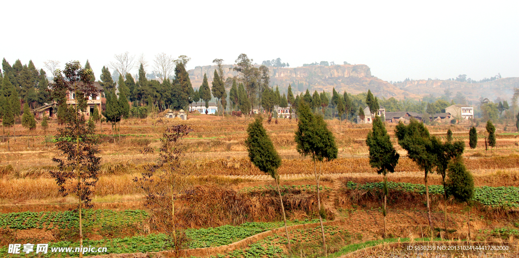 田园风光 乡村 村庄