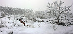 雪景 建筑