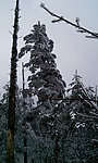 峨眉雪景