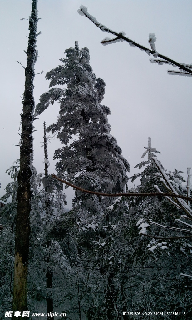 峨眉雪景