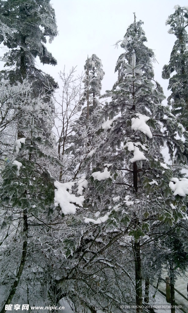 峨眉雪景