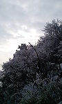 峨眉雪景