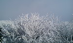 峨眉雪景