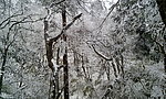 峨眉雪景