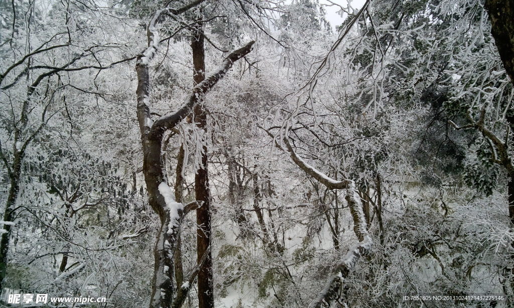 峨眉雪景