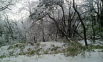 峨眉雪景