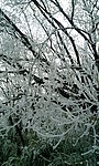 峨眉雪景