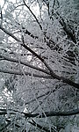 峨眉雪景