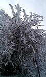峨眉雪景