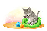 卡通猫
