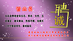诚聘