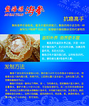 鲍鱼海报