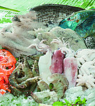 海鲜