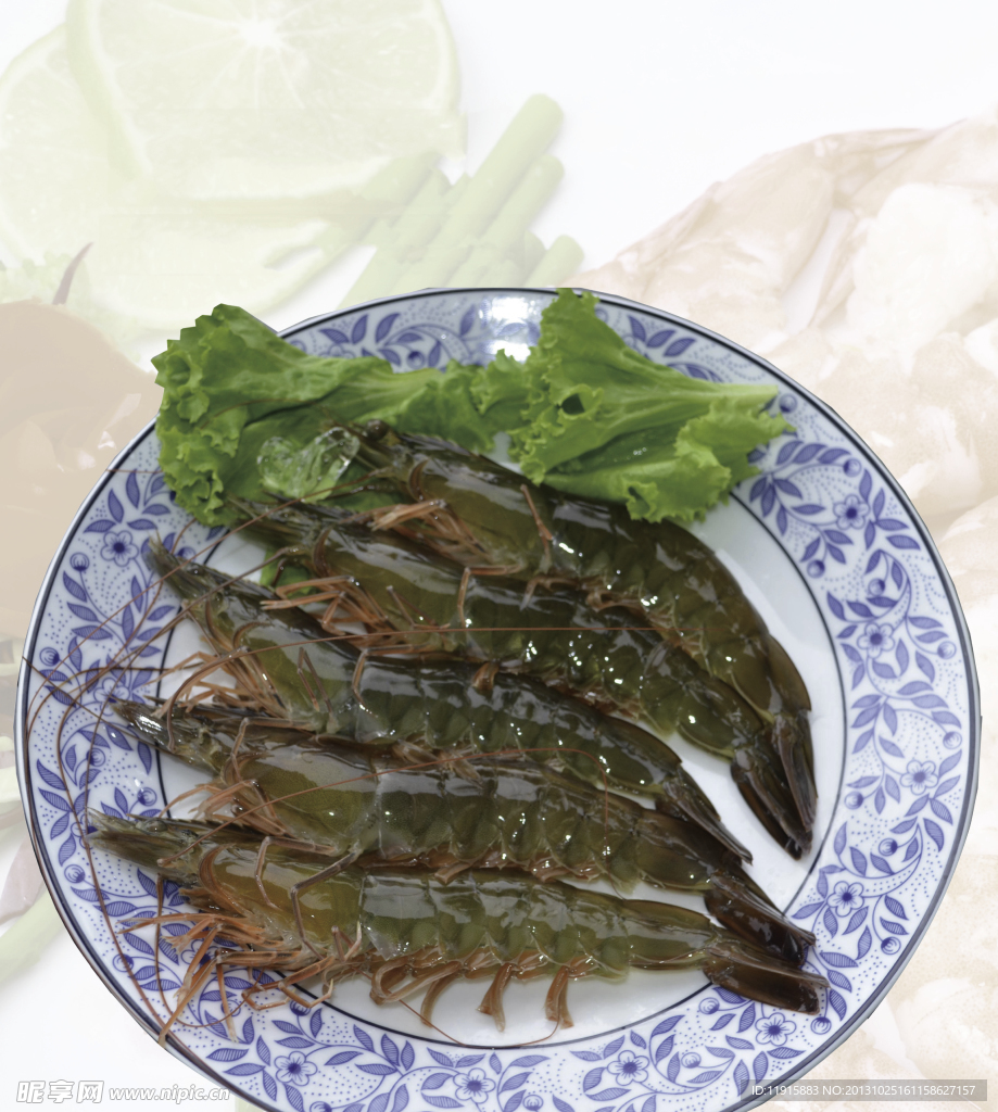 南美白虾