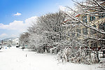 初冬大雪校园风景