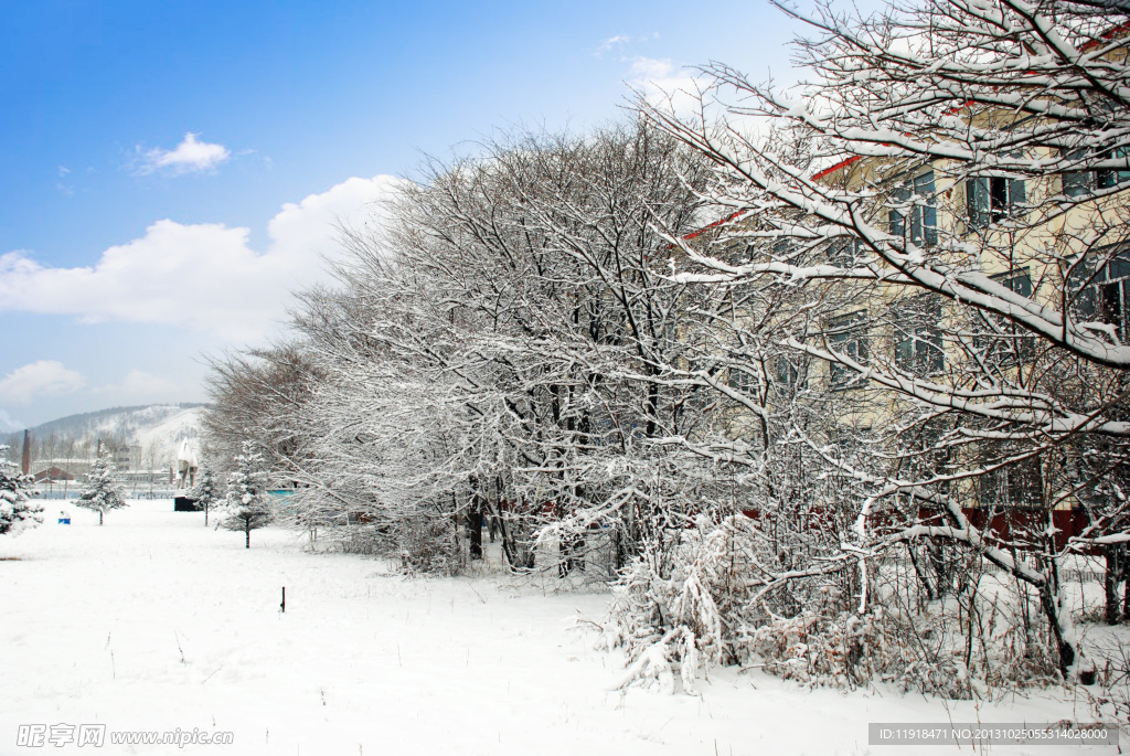 初冬大雪校园风景