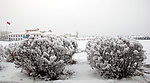 根河一中校园雪景