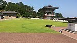 草坪