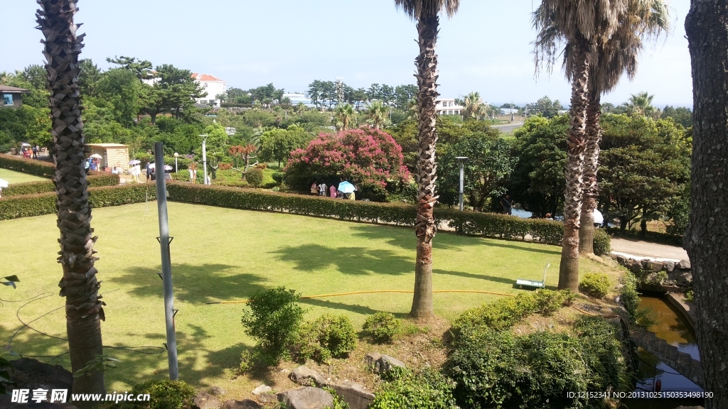 草坪