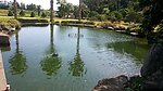 池塘