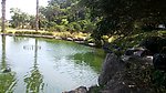 池塘