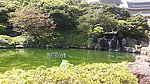 池塘