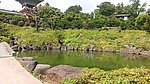 草坪