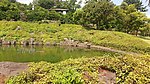 草坪