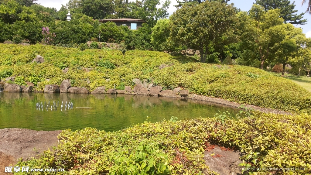 草坪